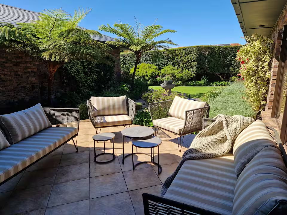 Sunlit patio lounge with garden and tree ferns